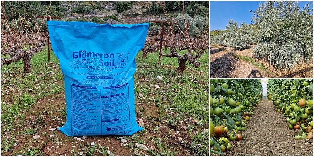 Glomeron Soil – εφαρμογή σε χωράφι με ενσωμάτωση