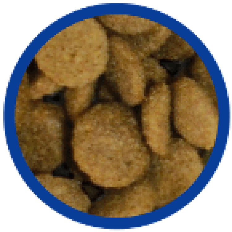 Bono Energy – εικόνα προϊόντος τροφής υψηλής ενέργειας σκύλων