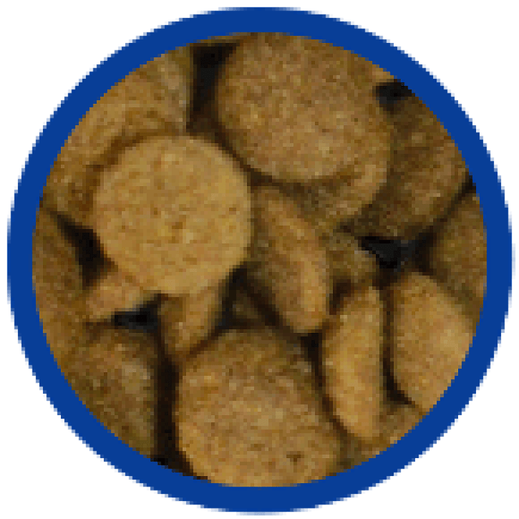 Vigor Adult Dog Food – εικόνα προϊόντος τροφής συντήρησης σκύλων