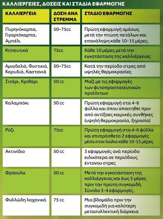 Silicion Υγρό Πυρίτιο – εικόνα προϊόντος για βασική χρήση