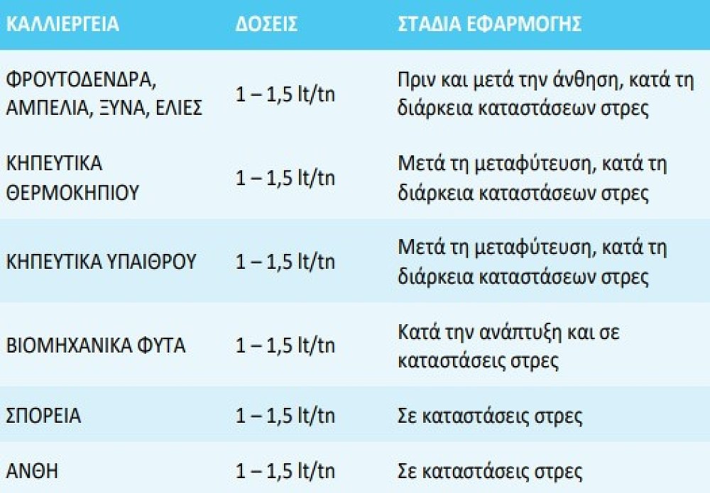 AMINE Βιοδιεγέρτης Αμινοξέων – λεπτομέρεια σύστασης προϊόντος