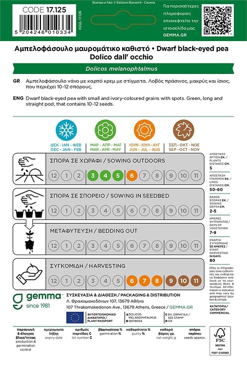 Black-eyed pea Gemma – αμπελοφάσουλο νάνο με πράσινο λοβό