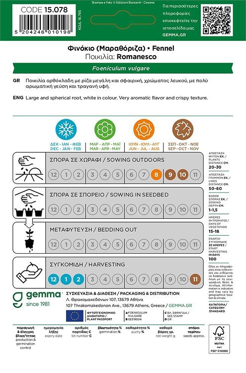 Φινόκιο Romanesco Gemma – Καλλιέργεια φινόκιου σε κήπο ή χωράφι