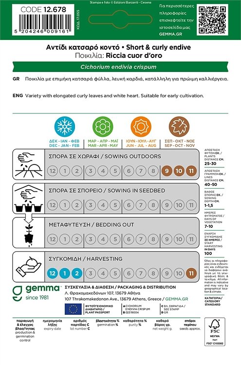 Αντίδι Κατσαρό Κοντό Gemma – συσκευασία φάκελος σε κοντινό πλάνο