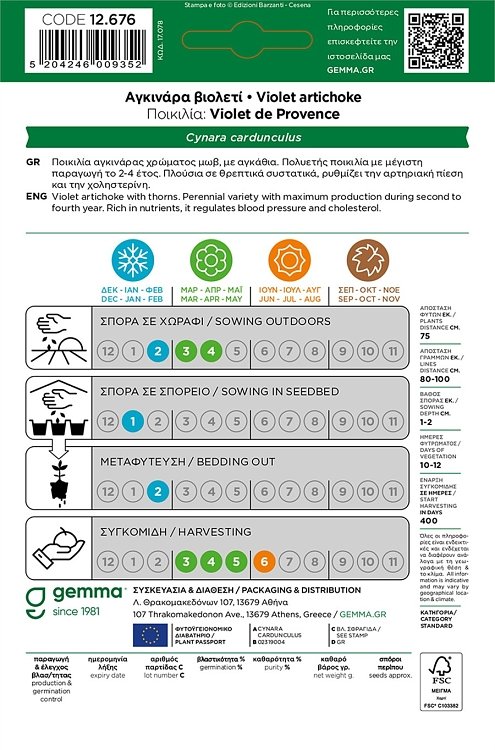 Σπόροι Αγκινάρας Βιολετί Gemma για φύτευση στον κήπο
