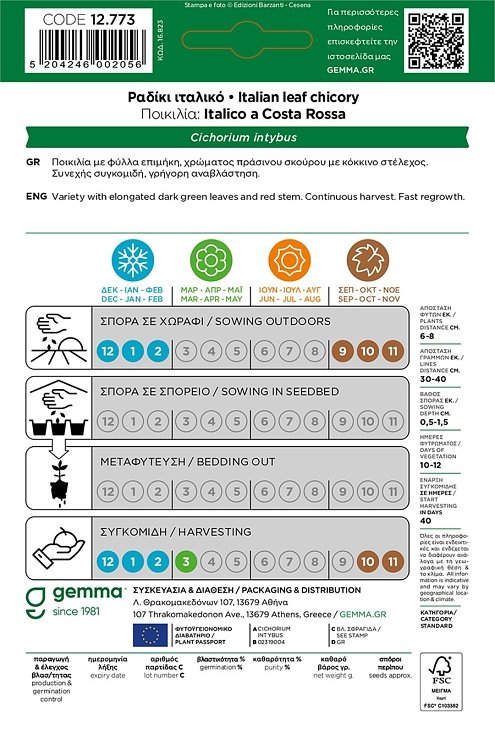 Ραδίκι Ιταλικό Gemma – ταχείας ανάπτυξης ποικιλία Catalogna