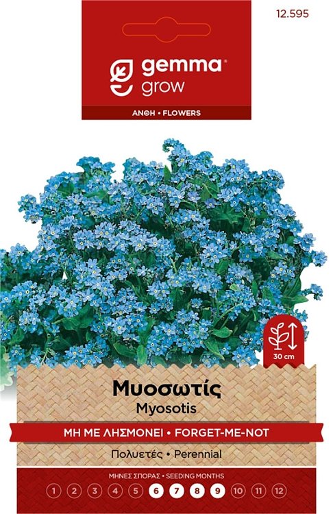 Gemma Myosotis Μη Με Λησμόνει – Σπόροι πολυετούς για γλάστρα & κήπο