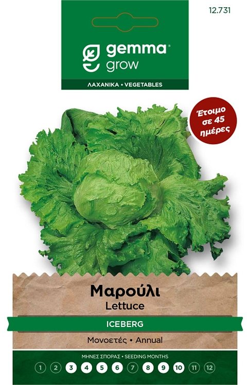 Σπόροι Μαρουλιού Iceberg Great Lakes 118 Gemma – Σφιχτή τραγανή κεφαλή, 45 ημέρες