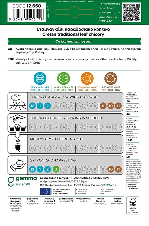 Σταμναγκάθι Κρητικό – σπόροι Gemma για φθινοπωρινή καλλιέργεια