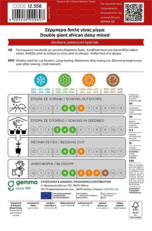 Ζέρμπερα Γίγας Διπλή Gemma – Σπόροι καλλωπιστικού φυτού για ανθοδέσμες