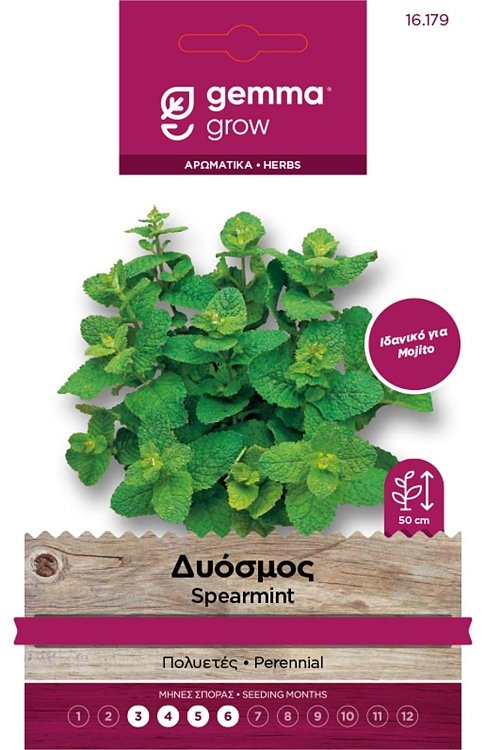 Δυόσμος Σπόροι Gemma 16179 – Πολυετές αρωματικό για Mojito και μαγειρική