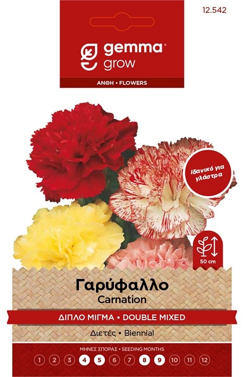 Γαρύφαλλο Διπλό Μίγμα Σπόροι Gemma – Πολύχρωμη ανθοφορία για γλάστρες