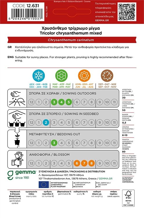 Χρυσάνθεμο Πολύχρωμο Gemma – κοντινό πλάνο συσκευασίας φάκελου