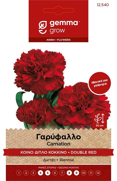 Γαρύφαλλο Κοινό Διπλό Κόκκινο Σπόροι Gemma – Εντυπωσιακή Ανθοφορία 🌹