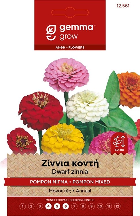 Ζίννια Κοντή Pompon Μίγμα Gemma – Σπόροι για πολύχρωμα άνθη