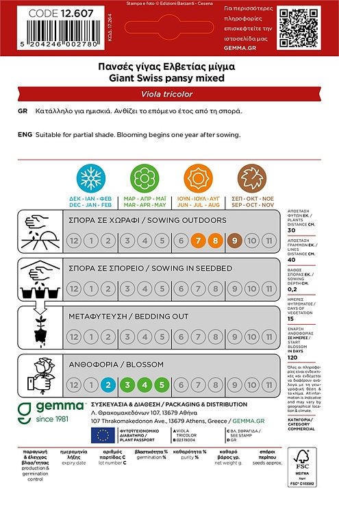 Πανσές Γίγας Ελβετίας Μίγμα Gemma – συσκευασία φάκελος κοντινό πλάνο