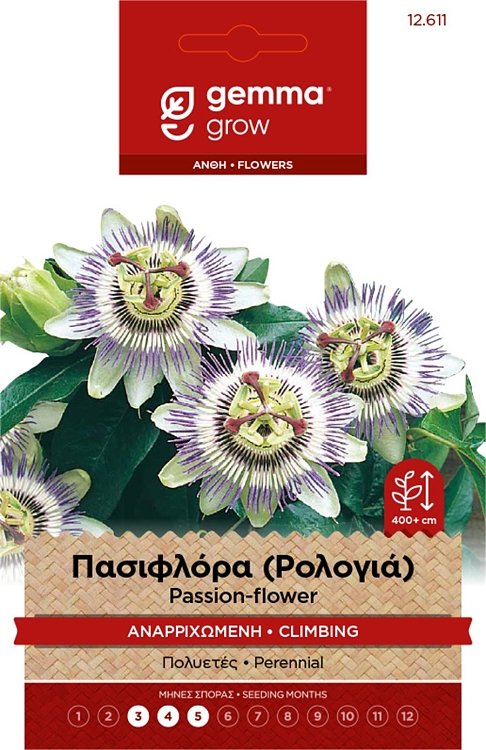 Πασιφλόρα Αναρριχώμενη Gemma – εικόνα προϊόντος σπόρων