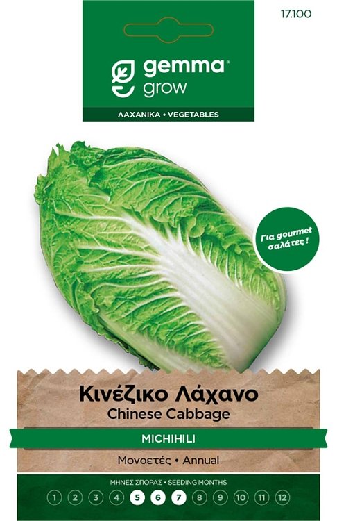 Κινέζικο λάχανο Gemma Michihili – Σπόροι για κεφάλι 2–2,5kg, gourmet σαλάτες