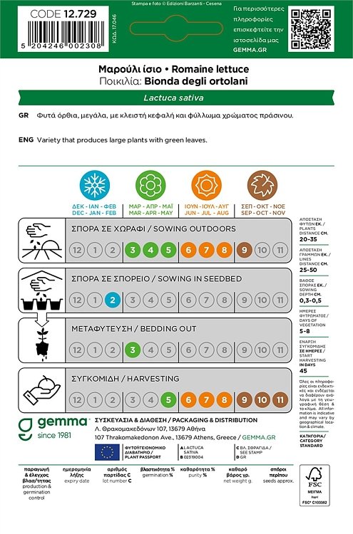 Φυτά Romana με όρθια ανάπτυξη και κλειστή κεφαλή