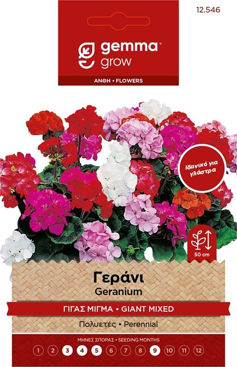 Γεράνι Μεγάλο Άνθος Μίγμα Σπόροι Gemma – Πολυετές φυτό με εντυπωσιακά άνθη