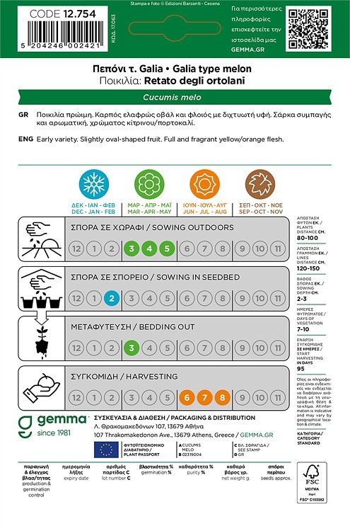Καλλιέργεια πεπονιού Galia στον κήπο την άνοιξη