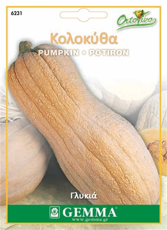 Σπόροι κολοκύθας Butternut Gemma γλυκιάς ποικιλίας
