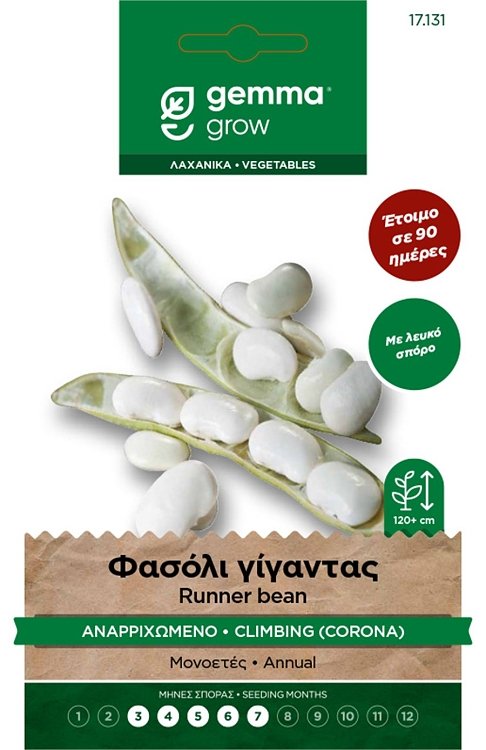 Φασόλι γίγαντας αναρριχώμενο Corona Gemma – σπόροι λαχανικών