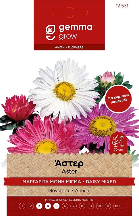 Άστερ Μαργαρίτα Μίγμα Σπόροι Gemma – Πολύχρωμα άνθη για κήπο