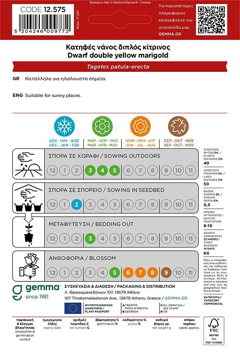 Κατηφές Διπλός Κίτρινος HORTUS – χρήση σε καλλιέργεια ή φύτευση