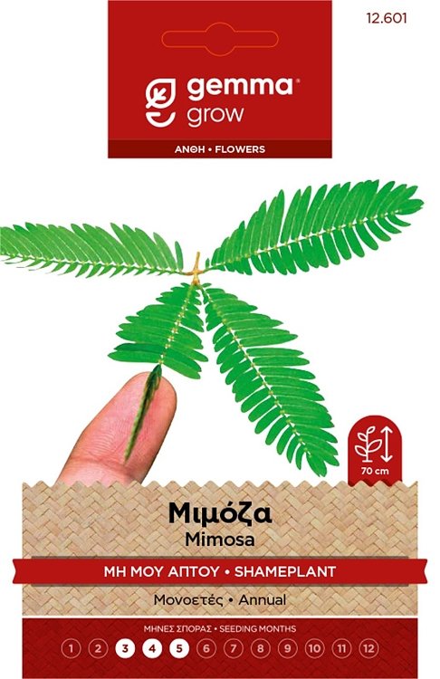 Μιμόζα Μη Μου Άπτου Gemma – εικόνα προϊόντος σπόρων