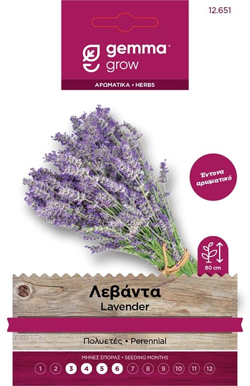 Λεβάντα Gemma – εικόνα προϊόντος φάκελου σπόρων