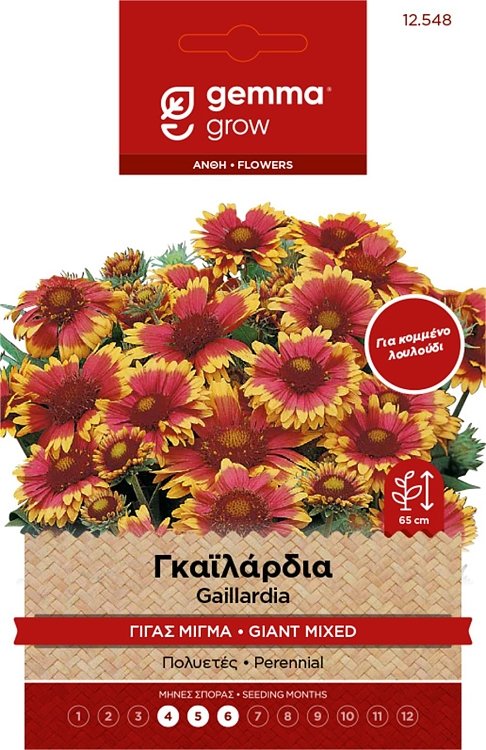 Γκαϊλάρδια Γίγας Μίγμα Σπόροι Gemma – Πολυετές φυτό με εντυπωσιακά άνθη