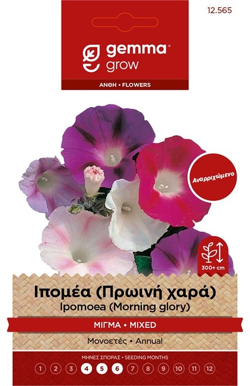 Ιπομέα Πρωινή Χαρά Μίγμα Gemma – Σπόροι αναρριχώμενου καλλωπιστικού φυτού