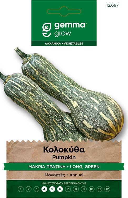 Κολοκύθα Πράσινη Μακριά Lunga Napoli – Σπόροι Gemma με πορτοκαλί σάρκα, συγκομιδή ~110 ημερών
