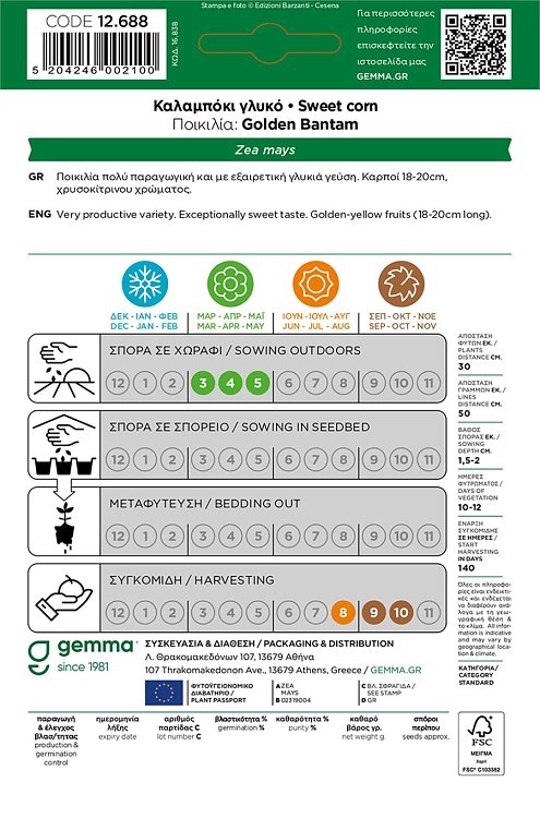 Σπόροι γλυκού καλαμποκιού Golden Bantam φάκελος – χρυσοκίτρινοι καρποί 18–20cm