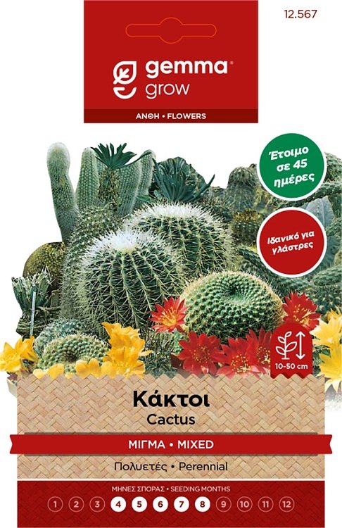 Κάκτοι Μίγμα Gemma – Σπόροι πολυετών καλλωπιστικών φυτών
