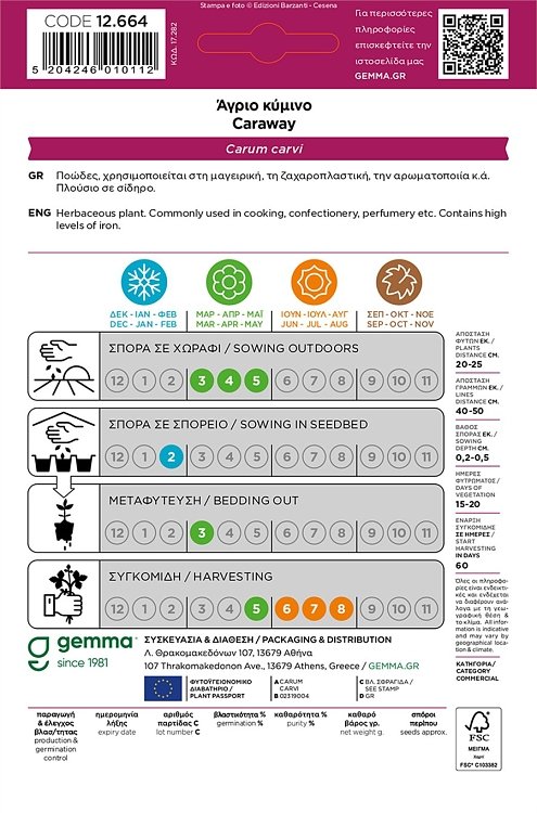 Σπόροι άγριου κύμινου Carum carvi σε φάκελο για καλλιέργεια και μαγειρική χρήση