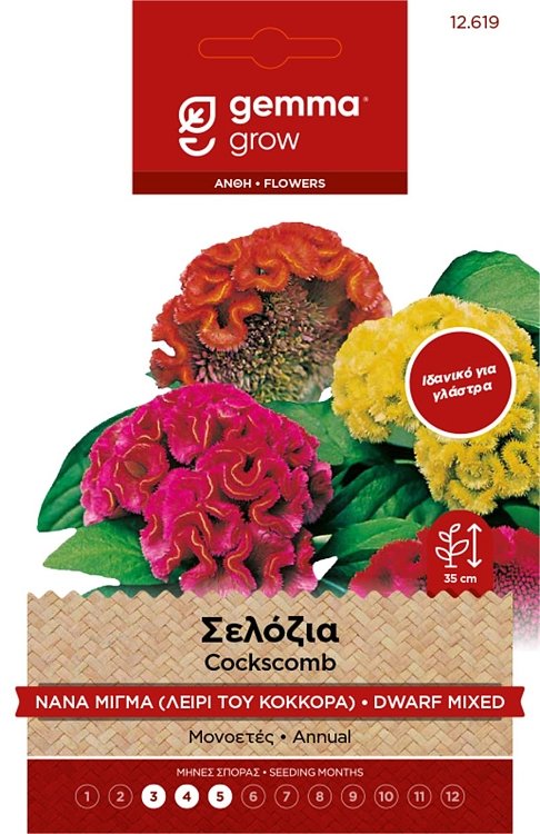 Σελόσια Νάνα Διπλή Μίγμα Gemma – εικόνα προϊόντος σπόρων