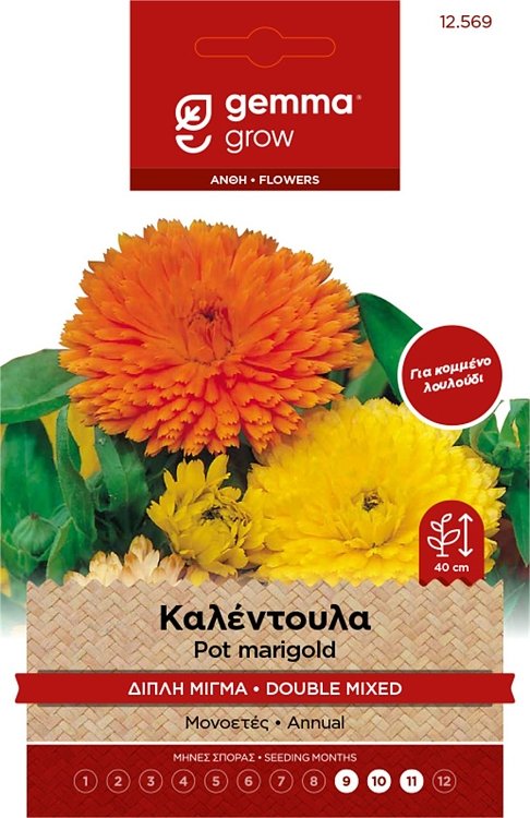 Καλέντουλα Γίγας Διπλή Μίγμα Gemma – Σπόροι καλλωπιστικού φυτού