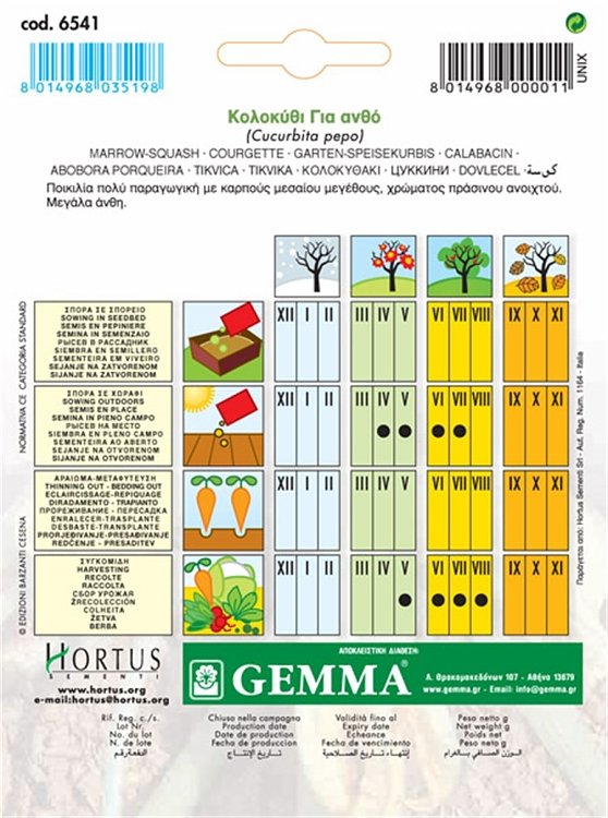 Σπόροι κολοκυθιού για ανθό Perla Gemma φάκελος 5g