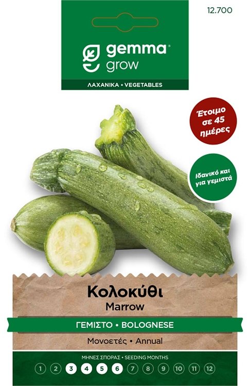 Κολοκύθι Γεμιστό Bolognese Gemma – πρώιμη ποικιλία για γεμιστά, καρπός 11–12 cm, φάκελος σπόρων