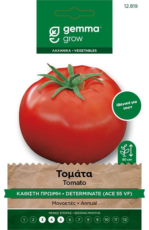 Τομάτα Ace 55 VF Καθιστή Gemma 🍅 πρώιμη ποικιλία για σαλάτα – Agrol.gr
