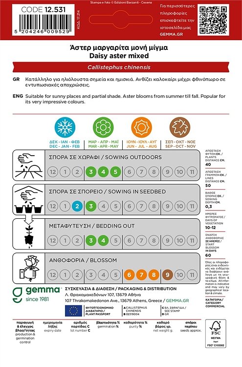 Άστερ Μαργαρίτα Gemma – Μίγμα χρωμάτων για κομμένα λουλούδια