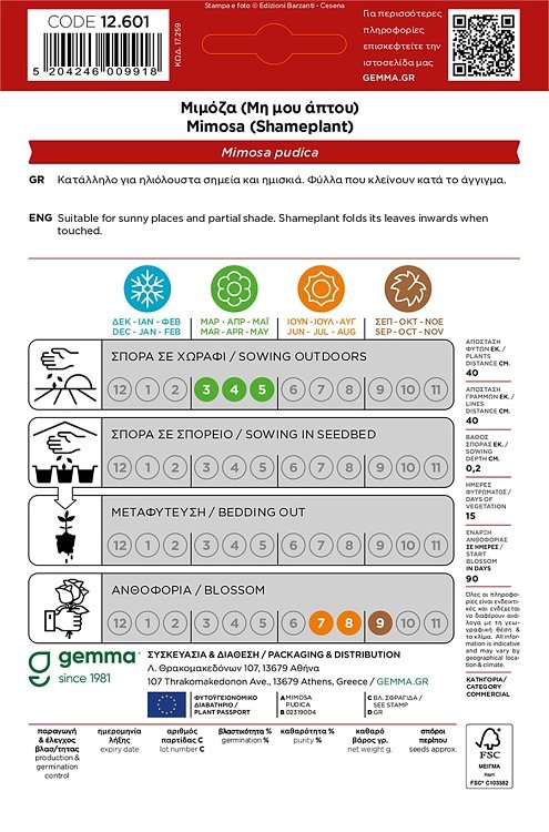 Μιμόζα Μη Μου Άπτου Gemma – συσκευασία φάκελος κοντινό πλάνο