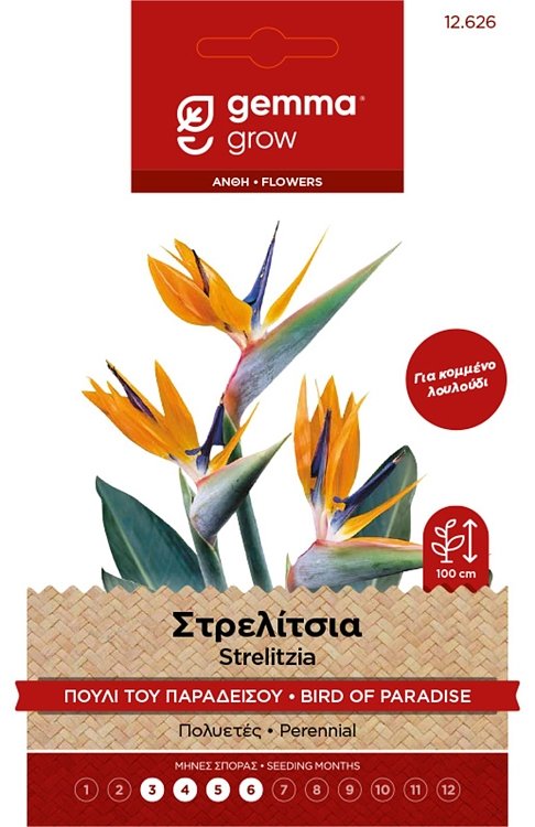 Στρελίτσια Gemma – εικόνα προϊόντος σπόρων