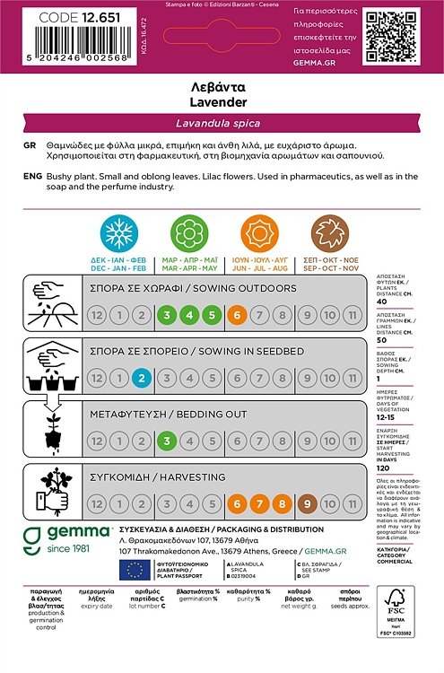 Λεβάντα Gemma – κοντινό της συσκευασίας φάκελου