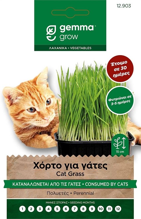 Χόρτο για Γάτες Gemma 🌿 σπόροι cat grass για πέψη & καθαρισμό οργανισμού