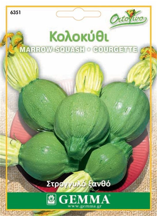 Σπόροι κολοκυθιού στρογγυλό ξανθό Gemma Tonda Toscana