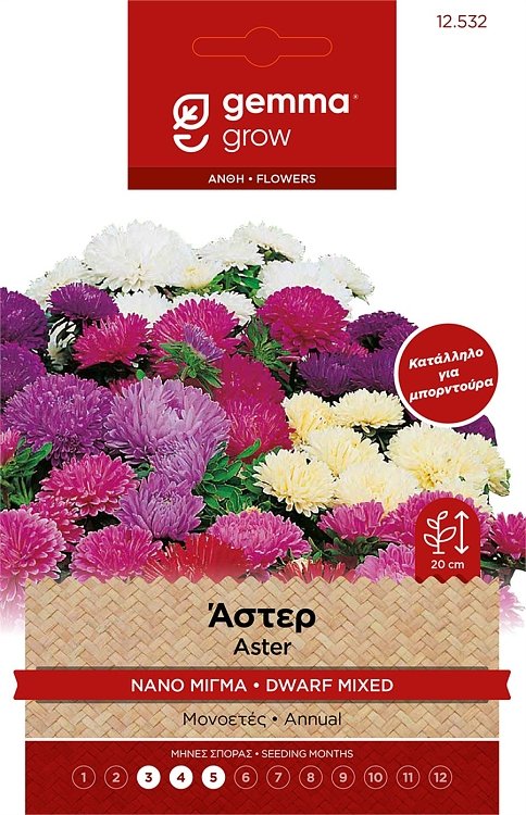 Άστερ Μπορντούρα Νάνος Μίγμα Σπόροι Gemma – Πολύχρωμα άνθη για παρτέρια