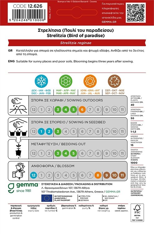 Στρελίτσια Gemma – φυτό σε καλλιέργεια με εξωτικά άνθη